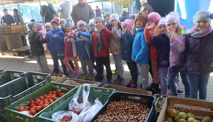 Pszczółki na targu owocowo-warzywny