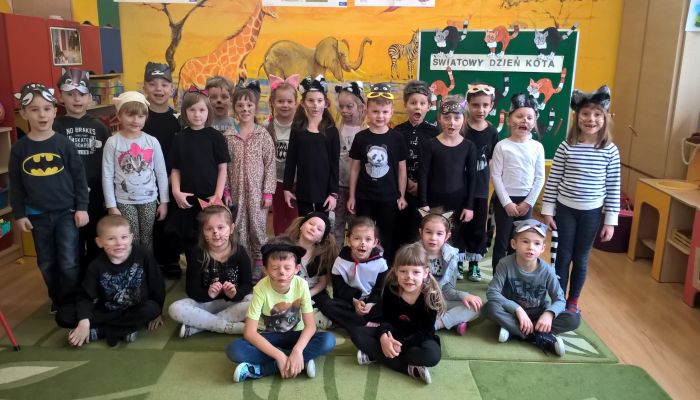 Światowy Dzień Kota w przedszkolu