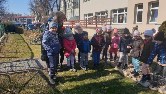 Zanim nadeszła kalendarzowa wiosna   ,Motylki’' szukały jej w swoim otoczeniu